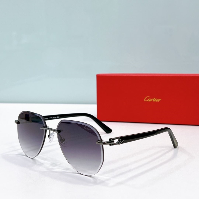 Cartier Sunglasses